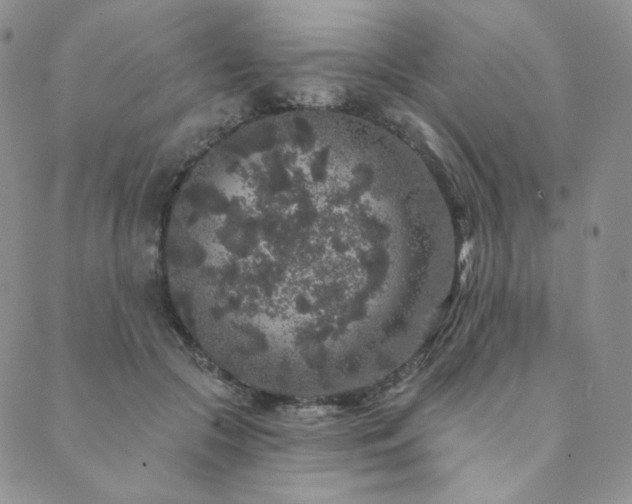 X0000089880553200706281352