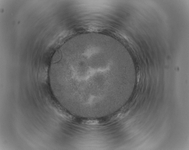 X0000089880554200706281352