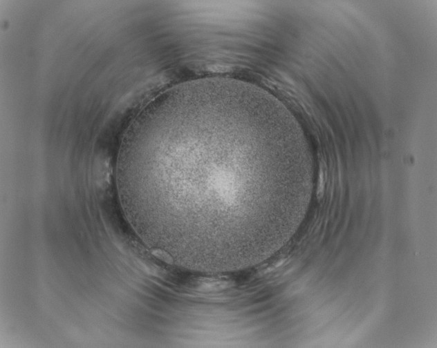 X0000089880555200706281352