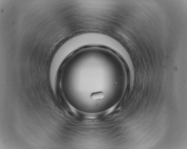 X0000089880556200706281352