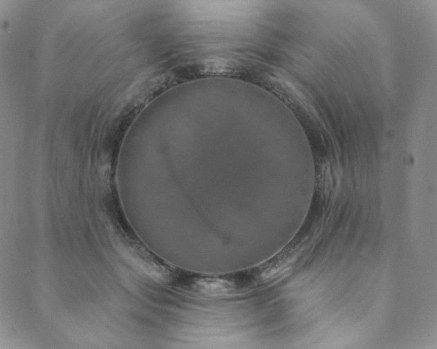 X0000089880557200706281352