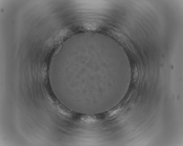 X0000089880559200706281352