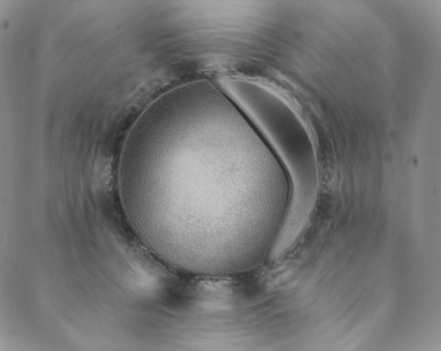 X0000089880560200706281352