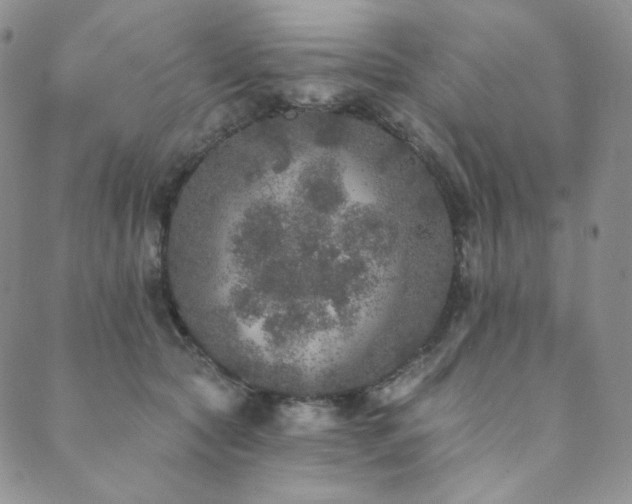 X0000089880561200706281352