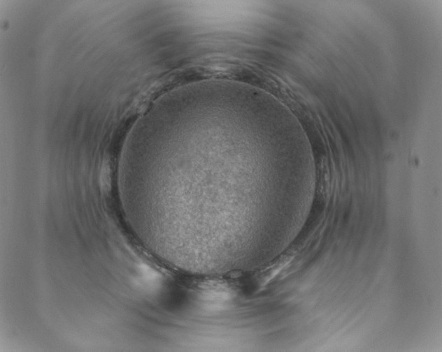 X0000089880562200706281352