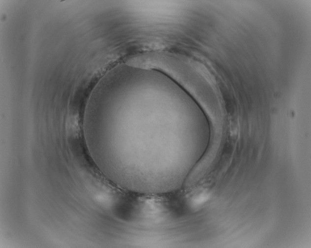 X0000089880564200706281352