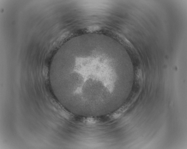 X0000089880565200706281352