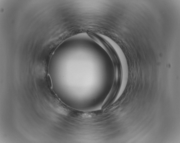 X0000089880566200706281352