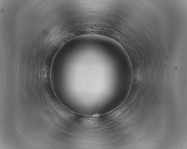 X0000089880567200706281352