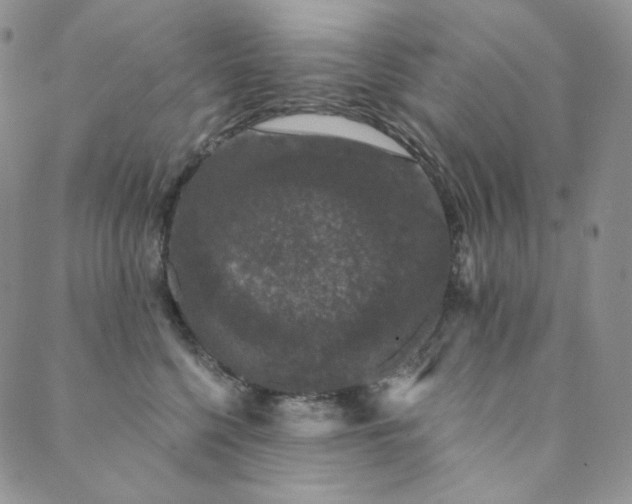 X0000089880568200706281352