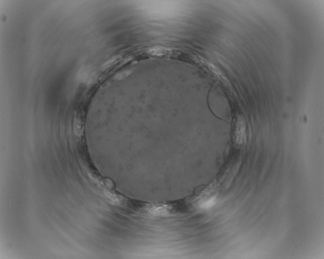 X0000089880569200706281352