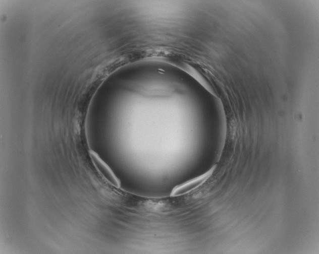 X0000089880570200706281352