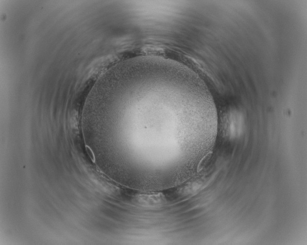 X0000089880571200706281352