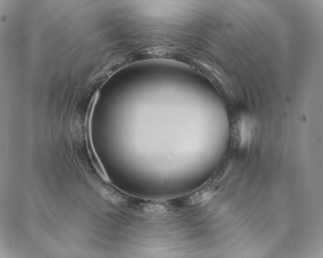 X0000089880572200706281352