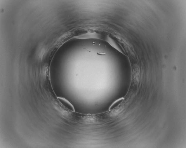 X0000089880574200706281353