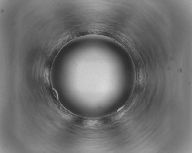 X0000089880575200706281353