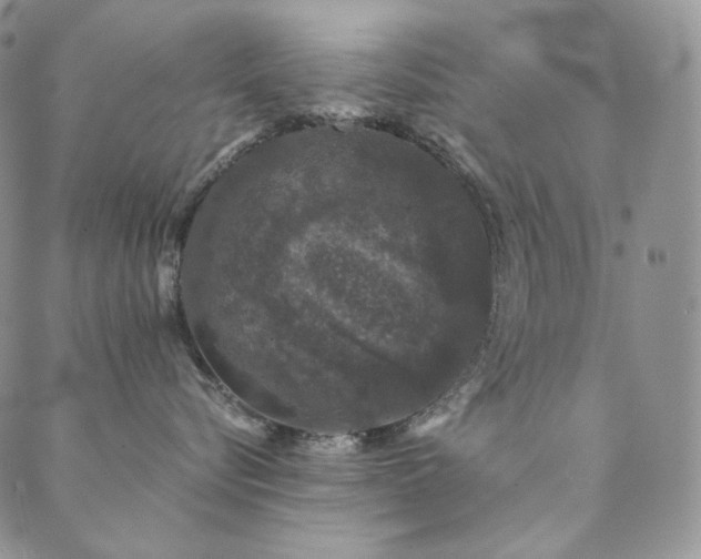 X0000089880576200706281353