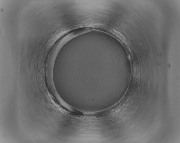 X0000089880577200706281352