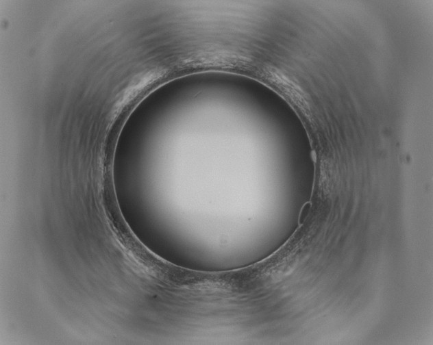 X0000089880578200706281352