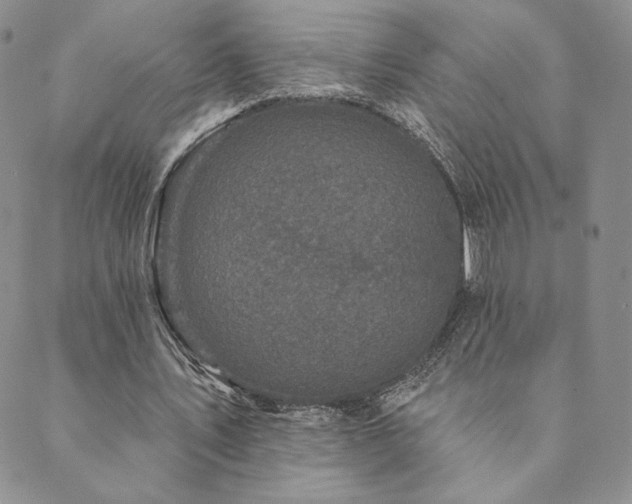 X0000089880579200706281352