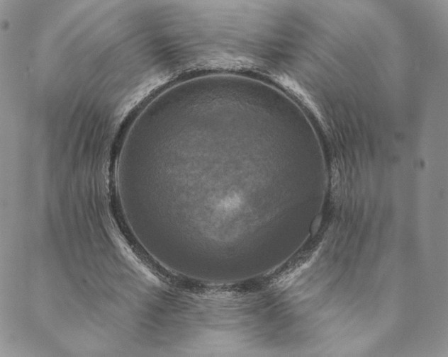 X0000089880581200706281352