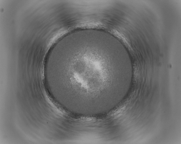 X0000089880582200706281352