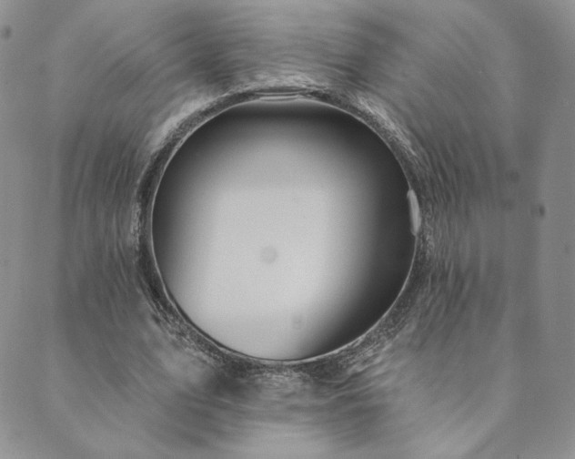 X0000089880583200706281352