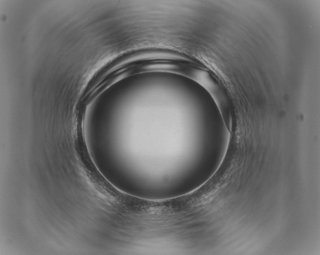 X0000089880584200706281352