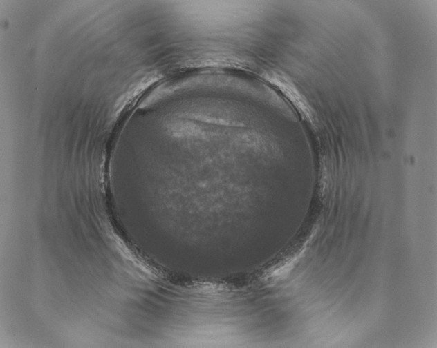 X0000089880585200706281352