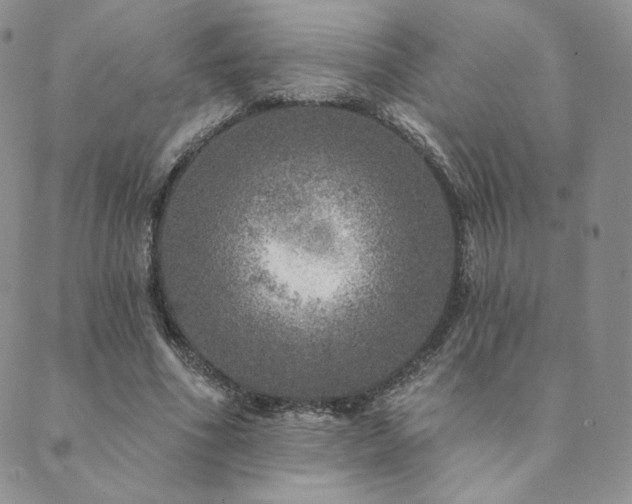 X0000089880586200706281352