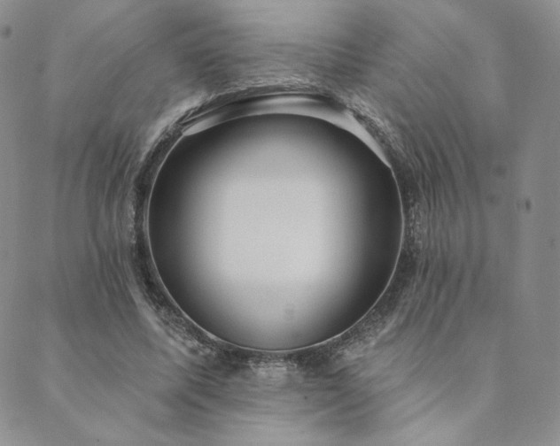 X0000089880587200706281352