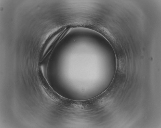 X0000089880588200706281352