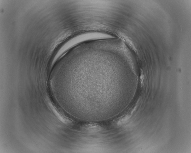 X0000089880589200706281352