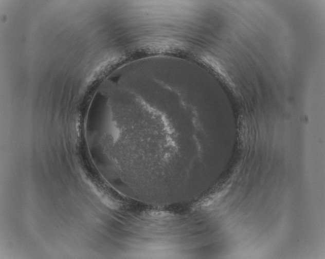 X0000089880590200706281352