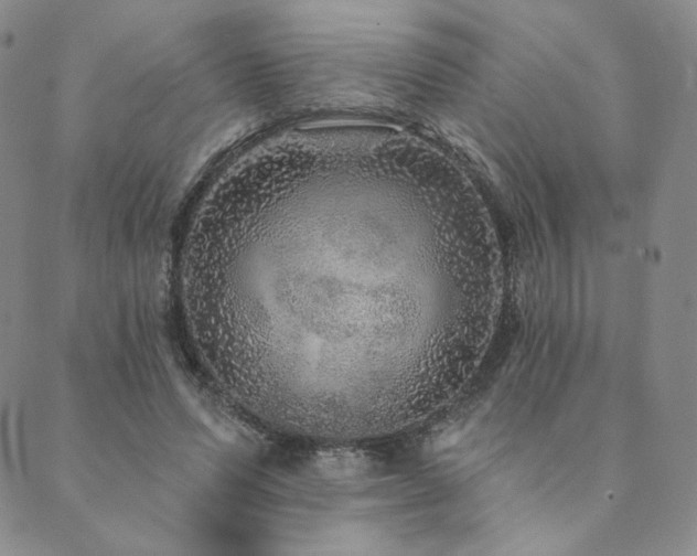 X0000089880591200706281352