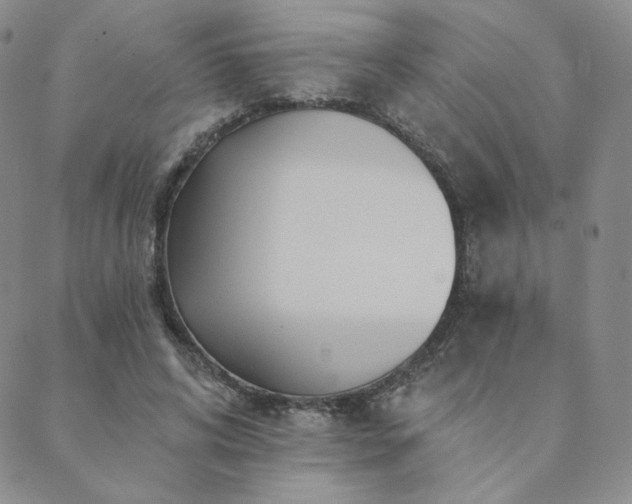 X0000089880592200706281352