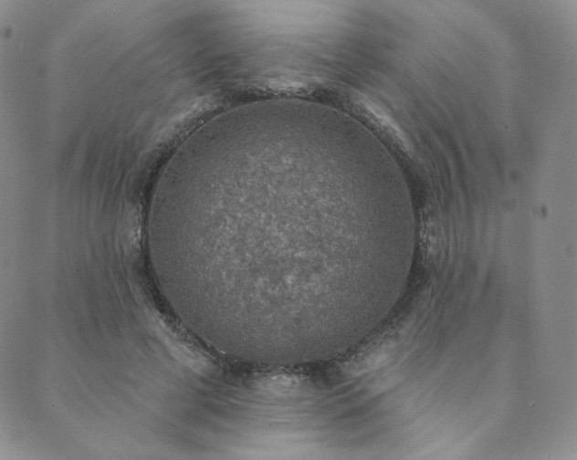 X0000089880593200706281352