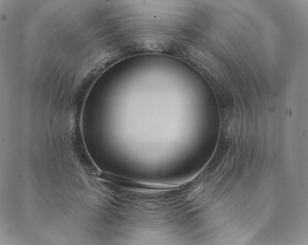 X0000089880595200706281351