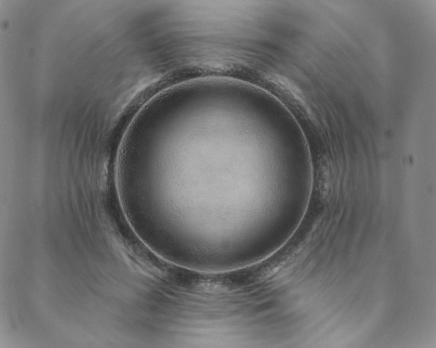 X0000089880596200706281351