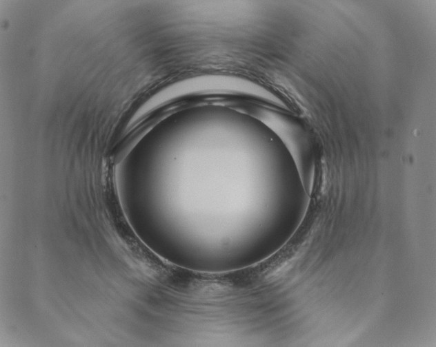 X0000089880597200706281351