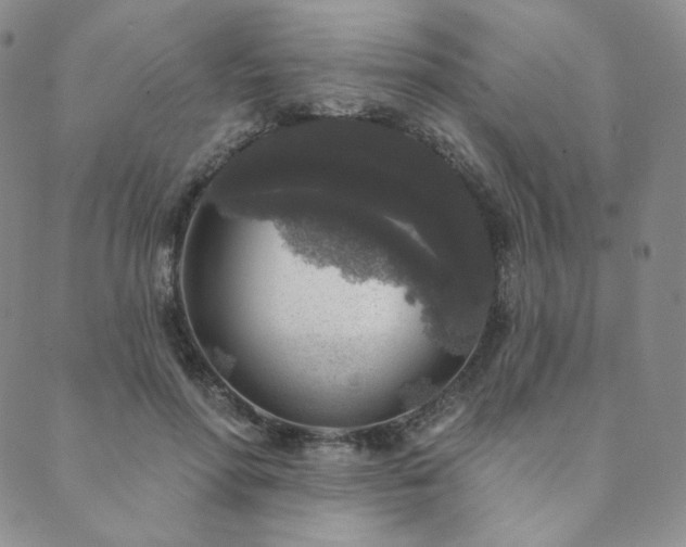 X0000089880598200706281351