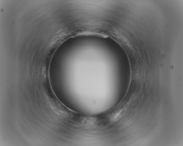 X0000089880599200706281351