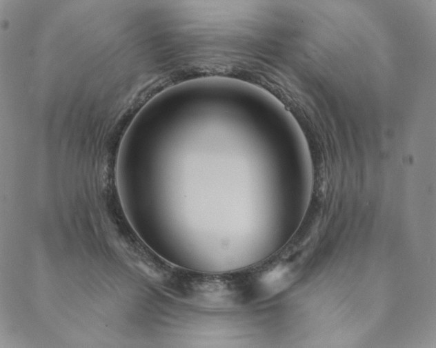 X0000089880600200706281351