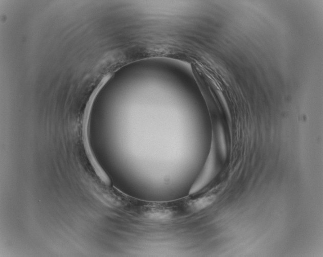 X0000089880601200706281351