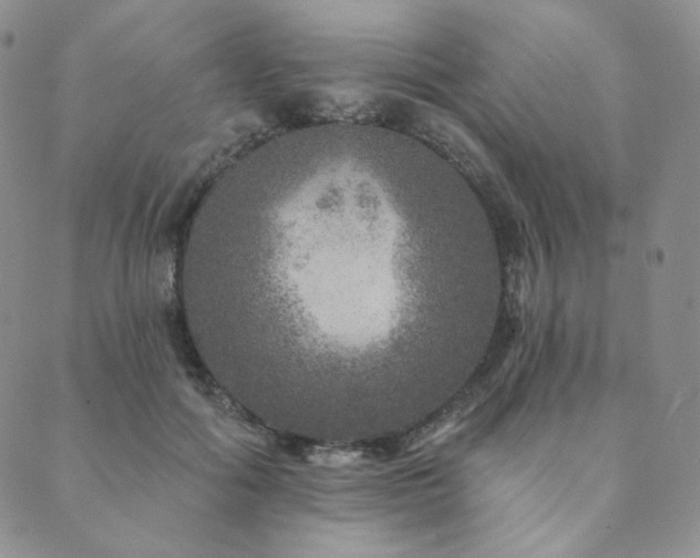 X0000089880602200706281351