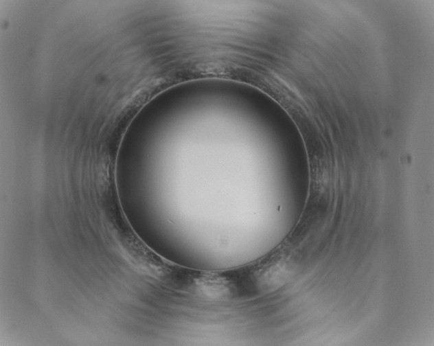 X0000089880603200706281351