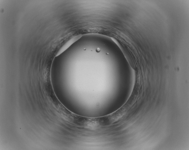 X0000089880604200706281351