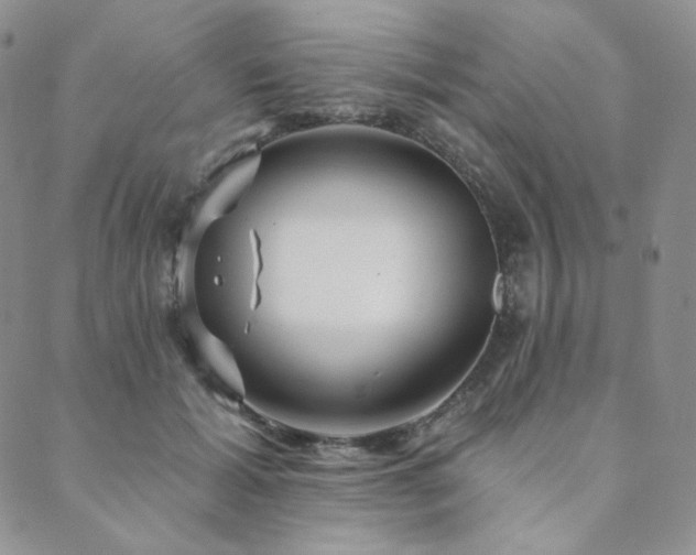 X0000089880605200706281351