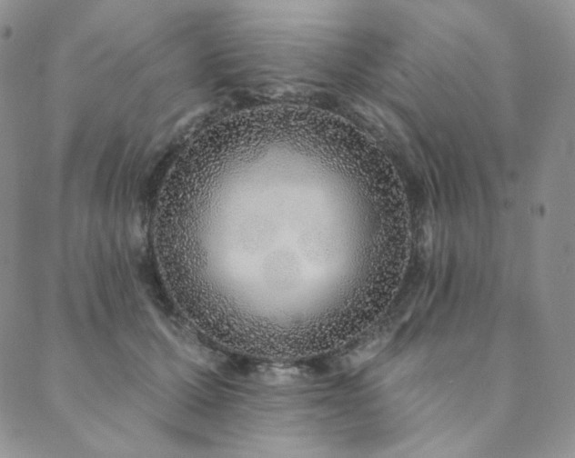 X0000089880607200706281351