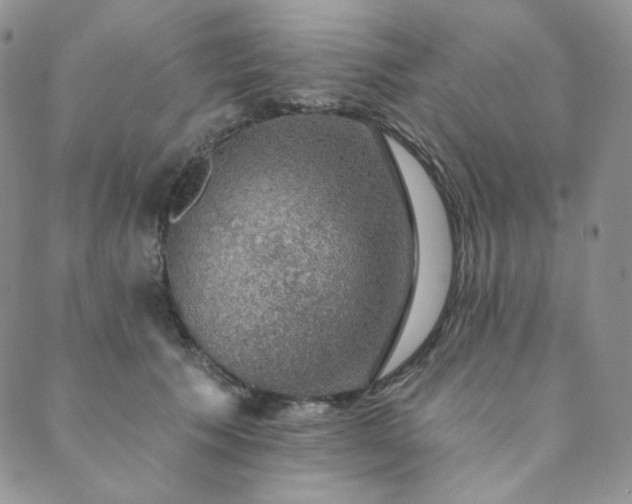 X0000089880609200706281351